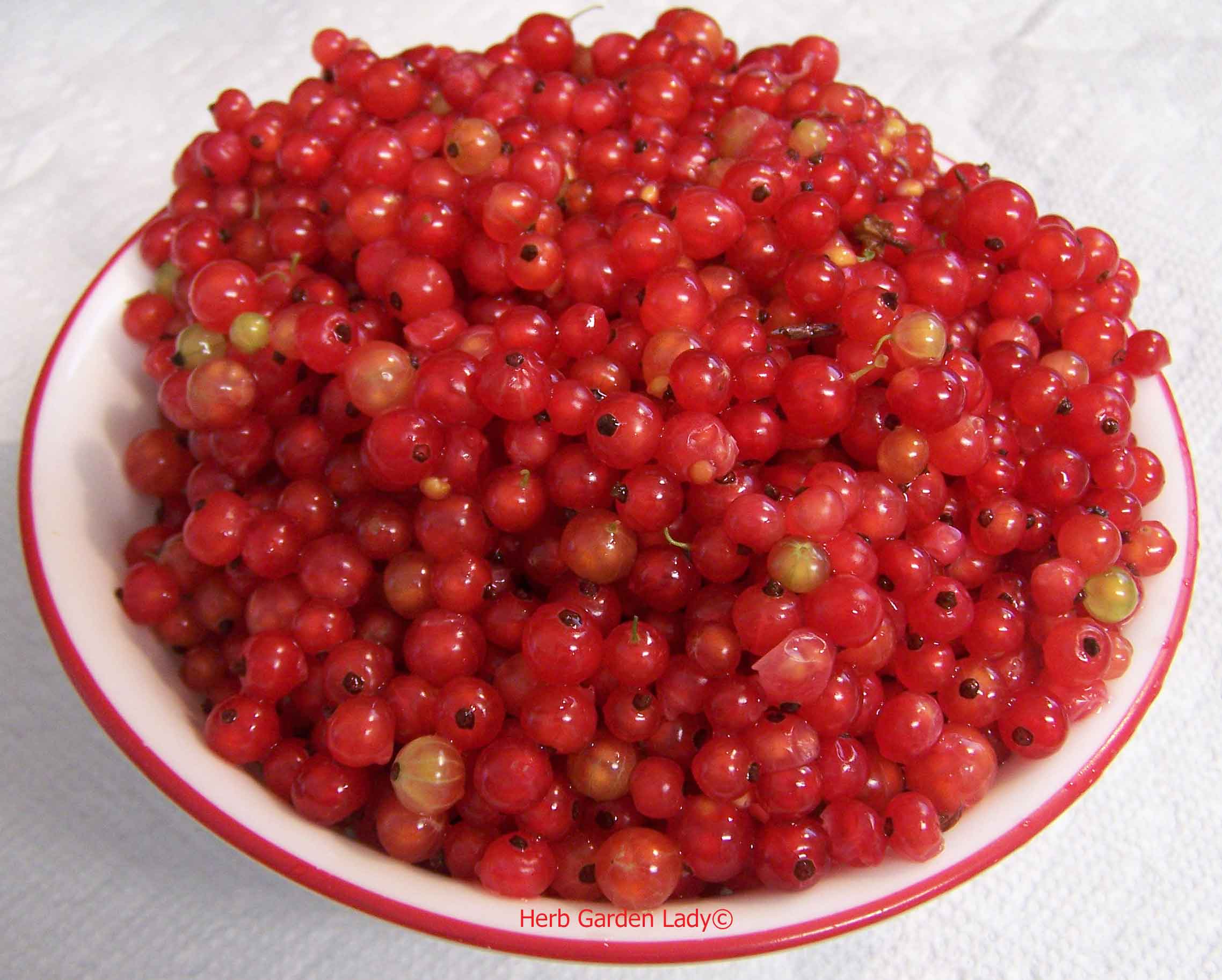 Red currants