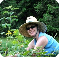 That's me in my raspberry patch weeding and mulching with composted chicken manure.